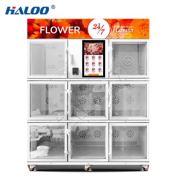 Haloo 24-hour flower vending machine with galvanized sheet material and SDK function, suitable for outdoor and indoor