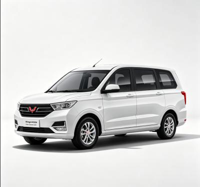 Wuling Hongguang N510M EV/REEV Electric MPV