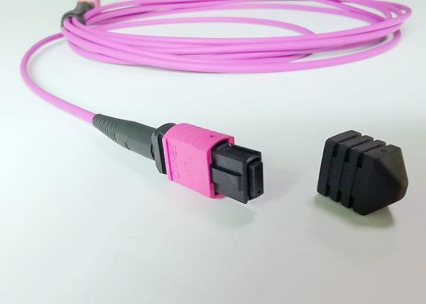Protocolos 40G/100G roxos do cabo do remendo de OM4 MPO para a rede de telecomunicação