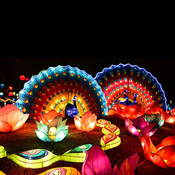Waterproof Themed Cultural Interactive Chinese Festival Lantern Lighting Display