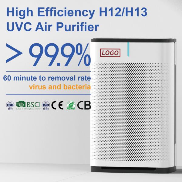 Home H13 Hepa DC Motor Air Purifiers For Mold , Plasma Air Purification