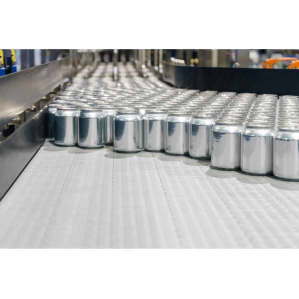 Изготовленный на заказ пробел пива BPA свободный консервные банки 16 Oz пустые алюминиевые