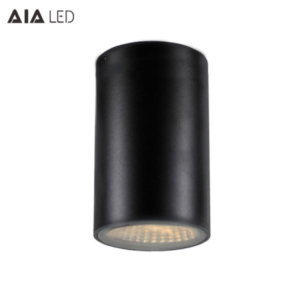 IP65 waterproof cylinder 30W led down light &exterior dimmable downlight led outdoor for hotel