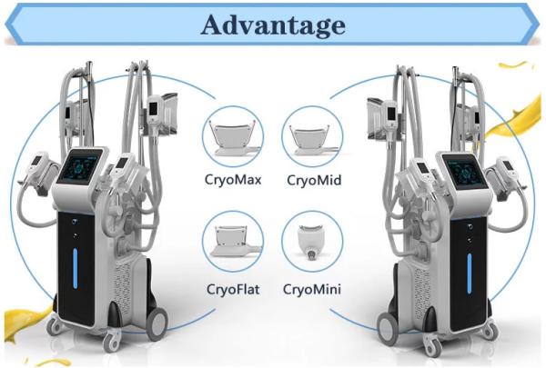 2500w big power standing cryolipolysis with 4 different size handles for whole body and double chin treatment
