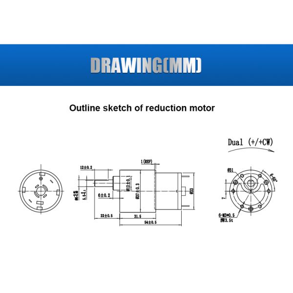 Customized DC Spur Gear Motor 7RGM520 3V- 24V High Torque Spur Gear Motor