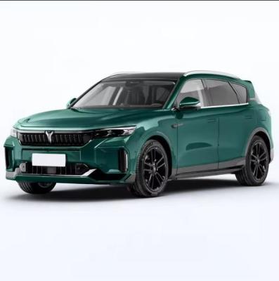 Dongdeng's Voyah Free 2024 860km Electric Car with Permanent Magnet Synchronous Motor