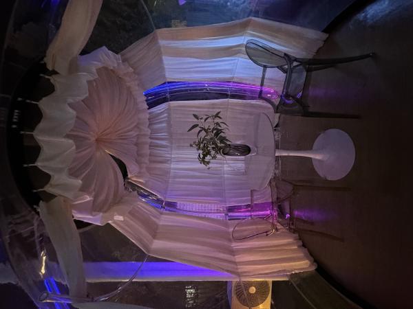 Good Quality Bubble Dome Tent Garden Dome Glamping Domes with Lights Bubble House