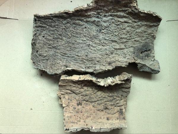 Factory Wholesale 3~4cm thickness Virgin Cork Bark Perfect for Dispalying Air Plants, Bromeliads & Orchids