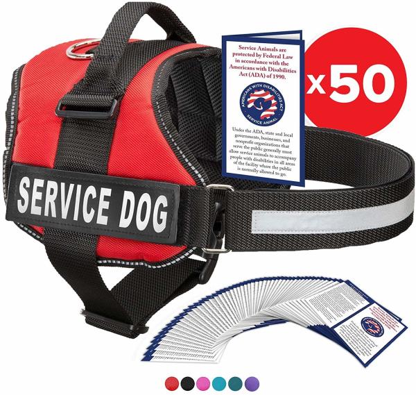 Multicolored Comfortable Pet Harness Mesh Padding Working K9 Eco - Friendly