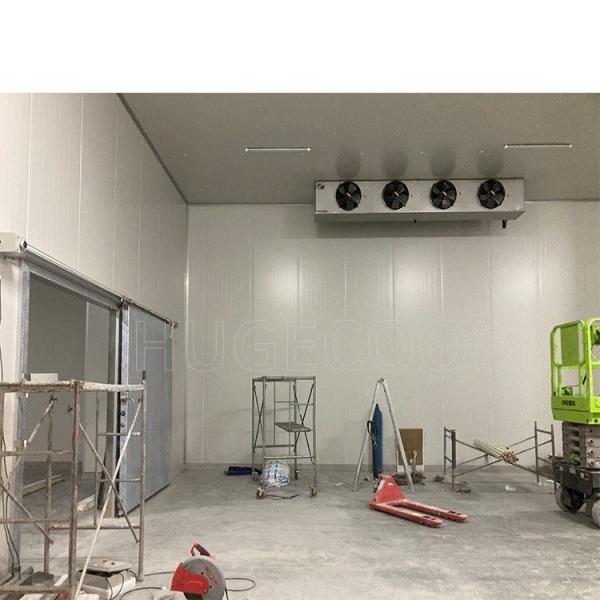 Customização Sistema de refrigeração comercial para peixe Frutas e legumes Armazenamento Sala de congelação