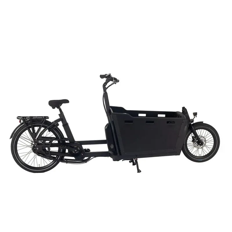 Cargo Bicycle for Carrying Groceries High-Capacity 2 Wheel E Bicycle Cargo E-Bike