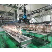 Machine de décoloration de volaille durable pour le poulet, le canard, l'oie et l'oie