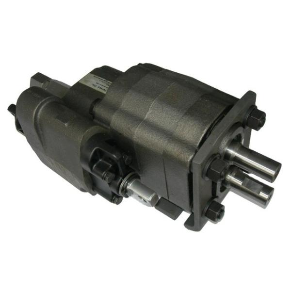 Boost Your Dump Truck's Performance with Fucheng's C102-20 and C102-25 Gear Pumps