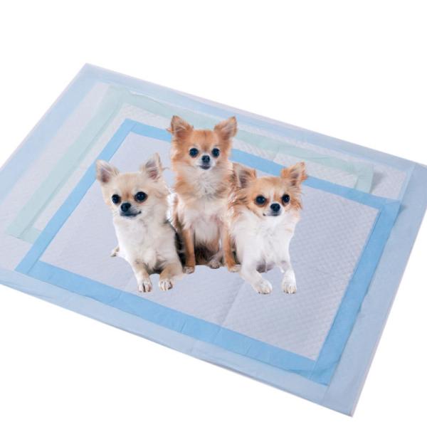 Convenience Hygiene Disposable Pet Pads 5 Layer Disposable Mats For Dogs And Cats