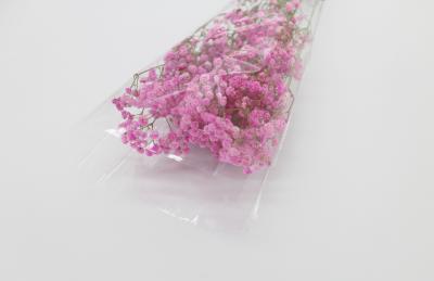 Salada OPP da flor fresca que empacota autoadesivo impresso biodegradável do saco