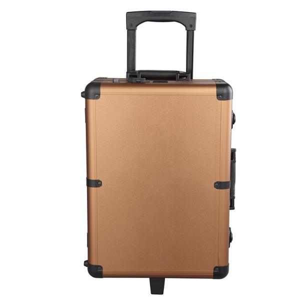 Large Capacity Makeup Case With Mirror And Lights For Makeup Manicure And Beauty Salon