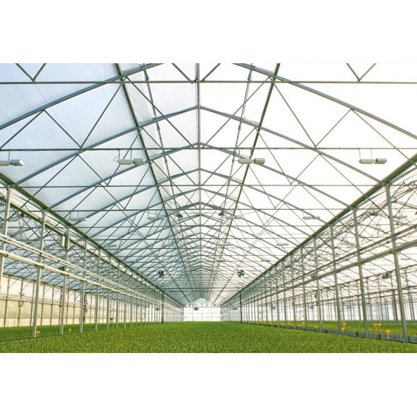 Galvanized Steel 0.15mm Polyethylene Film Greenhouse