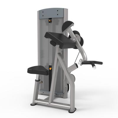 Commercial Steel Bicep Curl Machine For Arm Workout Strength Training