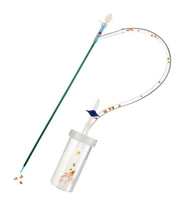 Petra Ureteral Access Sheath clara