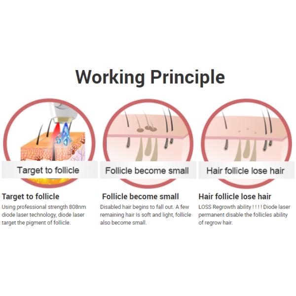 120 J/Cm2 808 Diode Laser Hair Removal Machine Skin Rejuvenation