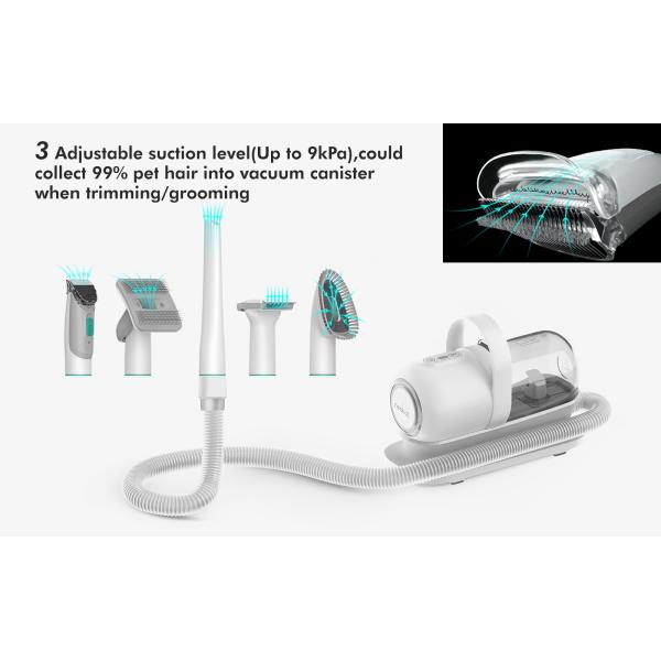 Порошок для волос для домашних животных для собак N.W/G.W. 2,5 кг/5 кг Уберите свой дом за короткое время