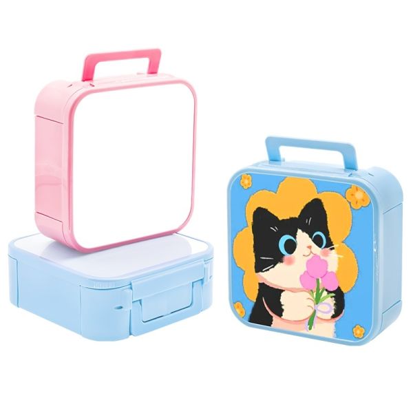 Portable Food Grade Large Capacity Sublimation Plastic Lunch Box With Spoon And Fork For Kids Students Pink And Blue Color