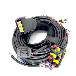 Cilindro sequencial ECU de Pin Car Wiring Harness For 4 da injeção 24 de CNG LPG