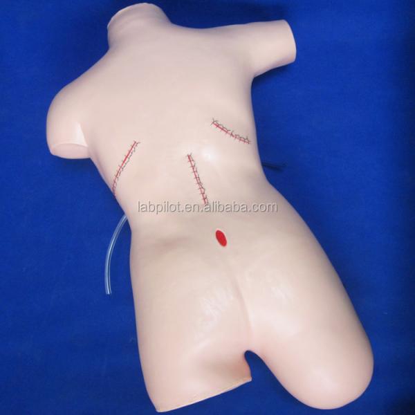 Realistic Appendectomy Teaching Model for Bandage and Suture Skills Surgical Dummy