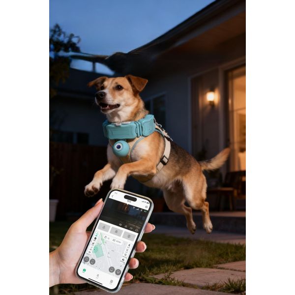 Training Collar Activity Tracking GPS Tracker Geofencing Alerts Waterproof