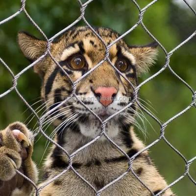 Rhombus Zoo Enclosure Mesh 316 Stainless Steel / Ultrasonic Bath Animal Enclosure Fencing