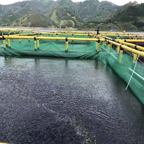 Large Specification Square Floating Fish Cage Weather Resistant HDPE Aquaculture Net Cage for Tilapia and Shrimp