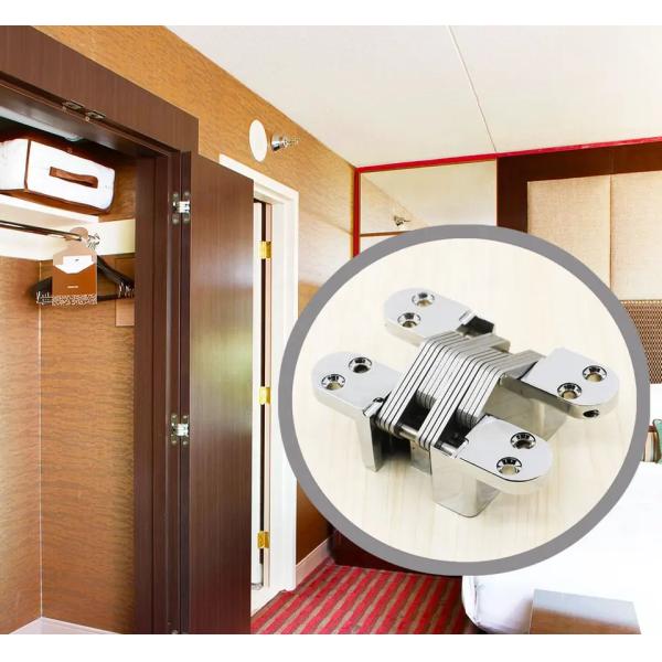 Zinc Alloy Pivot Hidden Butt Cross Special Type Invisible Hinge for Furniture Market
