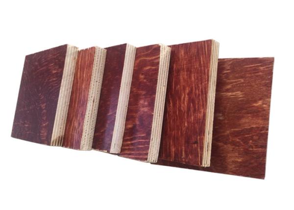 Furniture / Construction Grade Pine Sheathing Plywood / Shuttering Ply Board