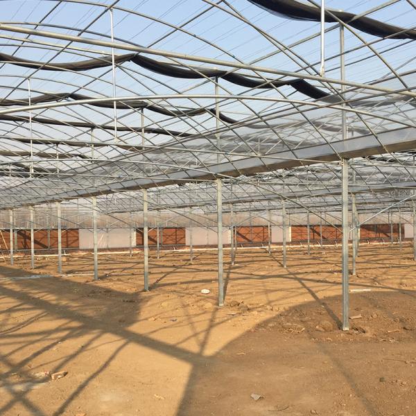 Advanced Multi-Span Hydrophonic Greenhouse for Commercial Supply Gutter Height 3m-6m