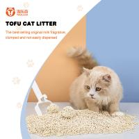 100% basura de tofu ecológica basura natural libre de polvo limpia para gatos