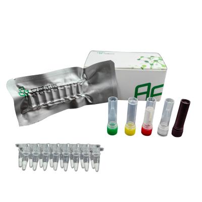 Comprehensive Monitoring Early Detection Nucleic Acid Detection Bovine Viral Diarrhea Virus Livestock Disease Kit