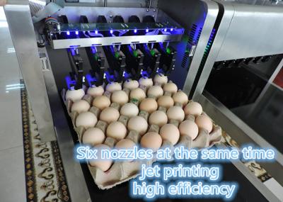High Speed Egg Printing Machine With Various Colors Food Grade Ink Can Choose