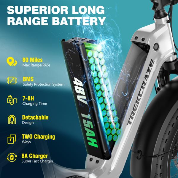 20 Inch Fat Tire  Rack for Carrying Goods & Passengers, Powerful Motor, Long Range Long Tail Electric Bike with Cargo