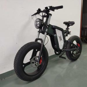 Aluminum Alloy Fat Tire Beach Cruiser Electric Bike 1000watt High Speed