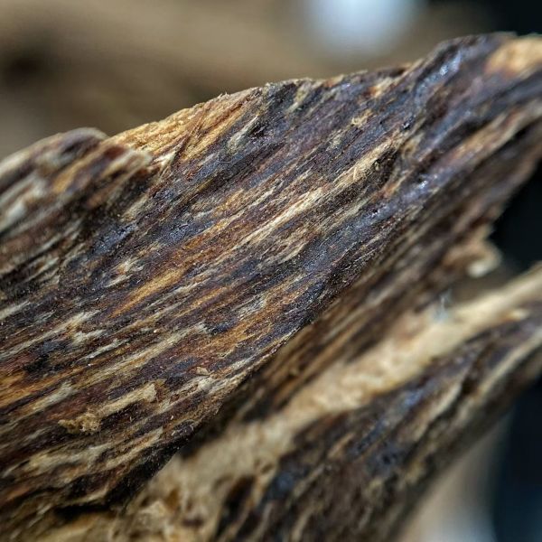 Natural OUD Agarwood resin with rich fragrance perfect for in luxury perfumery incense and traditional aromatic products