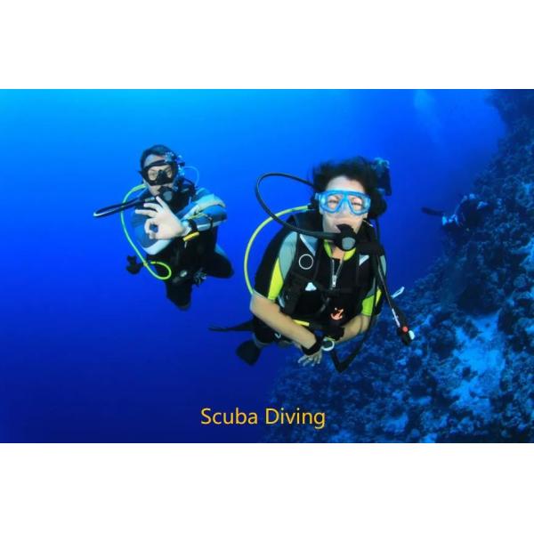 Скутер изменяемой скорости двигателя подводный ныряя с клобуком сети безопасности