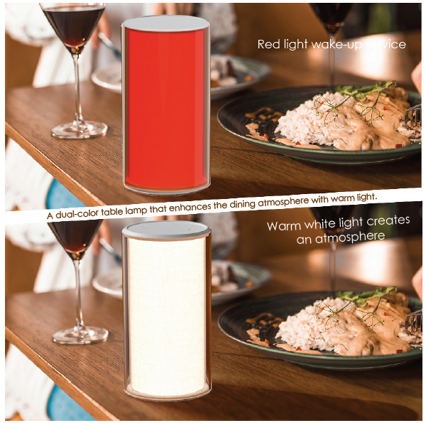 2700K Decorative LED Lamp Dual Color Light Table Lamps Rechargeable With Gravity Sensor And Hook