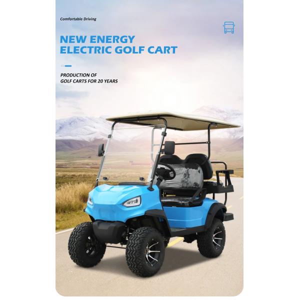 Electric Golf Buggy 2 2 Seat Battery Operated Utility Golf Carts for Your Needs from HM