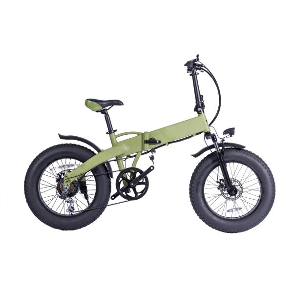 750w 20 Inch Fat Tire Electric Bike