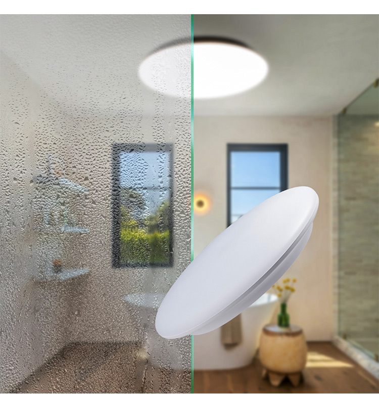 IP65 Waterproof Dimmable LED Ceiling Light with Emergency Function for Outdoor and Indoor Use