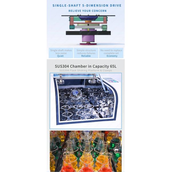 6L Benchtop Orbital Shaker For Microbial Culture Enzyme Reactions / Model BS-3012