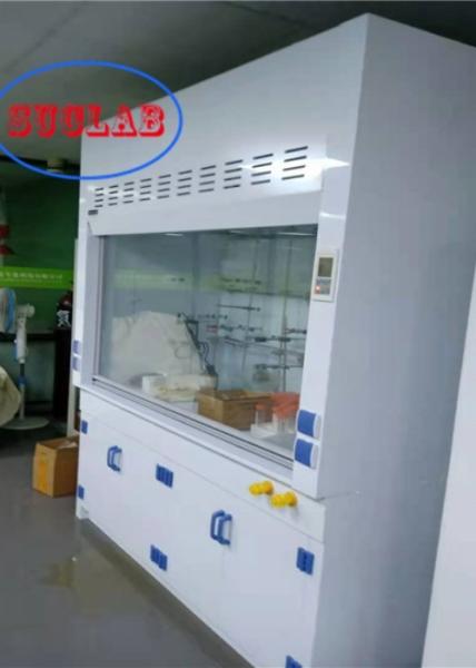 Custom 220V/110V Voltage Chemical Fume Hood with Scrubber Solutions and LED Lighting Performance