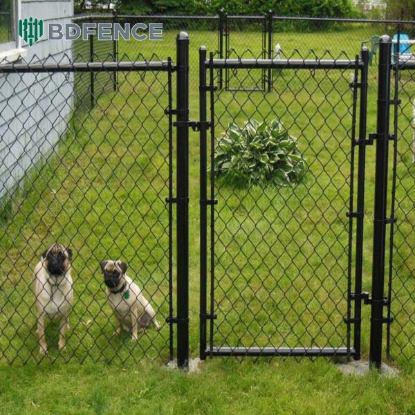 Parede de ligação de cadeia do parque de diversões para cães