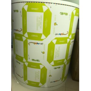 Machine d'impression à base d'eau 6 couleurs en ligne de type à contrôle servo Flexo pour l'impression