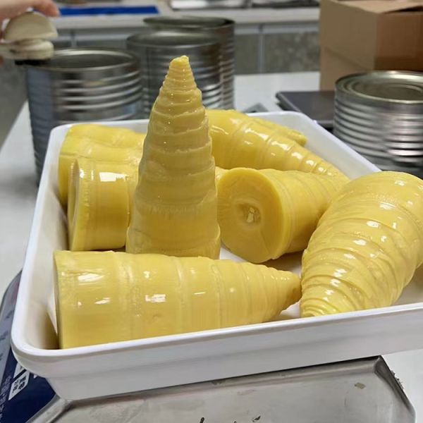Hot Wholesale Chinese Fine Quality Freshly Slender Pickled Canned Bamboo Shoots Cut Into Halves